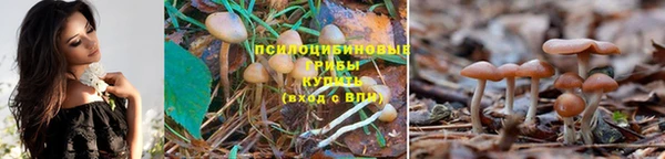 бутират Осташков