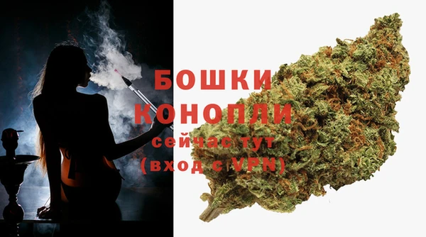 тгк Осинники