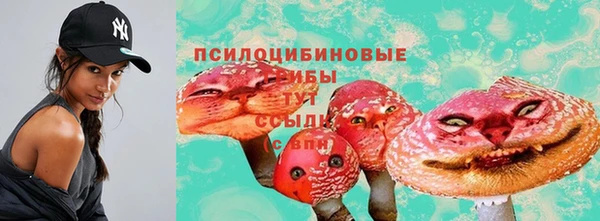 тгк Осинники