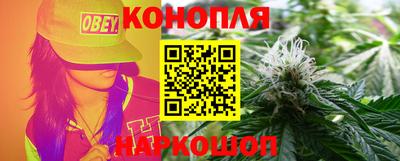 дурь Кингисепп