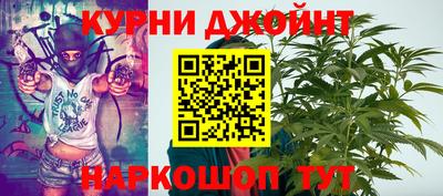 дурь Кингисепп