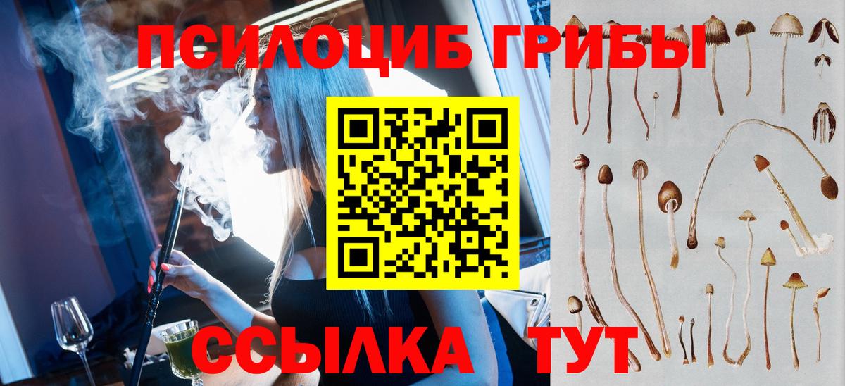 Тавда  Псилоцибиновые грибы Psilocybine cubensis  купить  сайты  Вход с VPN 