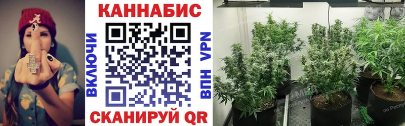 omg как войти  Тавда  Марихуана тримм 